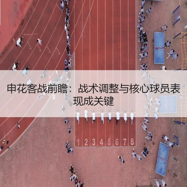 申花客战前瞻：战术调整与核心球员表现成关键